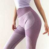 Womens High Waist Yoga Leggings Seamless Fitness Sports Gym Pants Shark Trousers