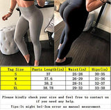 Womens High Waist Yoga Leggings Seamless Fitness Sports Gym Pants Shark Trousers