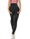 Womens High Waist Yoga Leggings Seamless Fitness Sports Gym Pants Shark Trousers