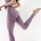 Womens High Waist Yoga Leggings Seamless Fitness Sports Gym Pants Shark Trousers