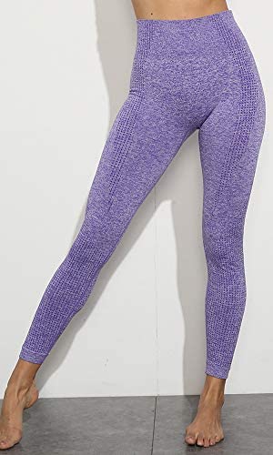 Womens High Waist Yoga Leggings Seamless Fitness Sports Gym Pants Shark Trousers