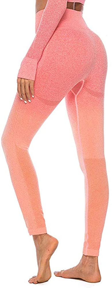 Womens High Waist Yoga Leggings Seamless Fitness Sports Gym Pants Shark Trousers